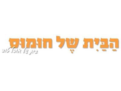 הבית של החומוס לוגו